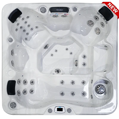 Costa-X EC-749LX hot tubs for sale in Detroit