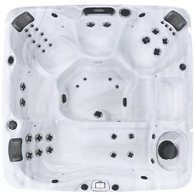 Avalon-X EC-840LX hot tubs for sale in Detroit
